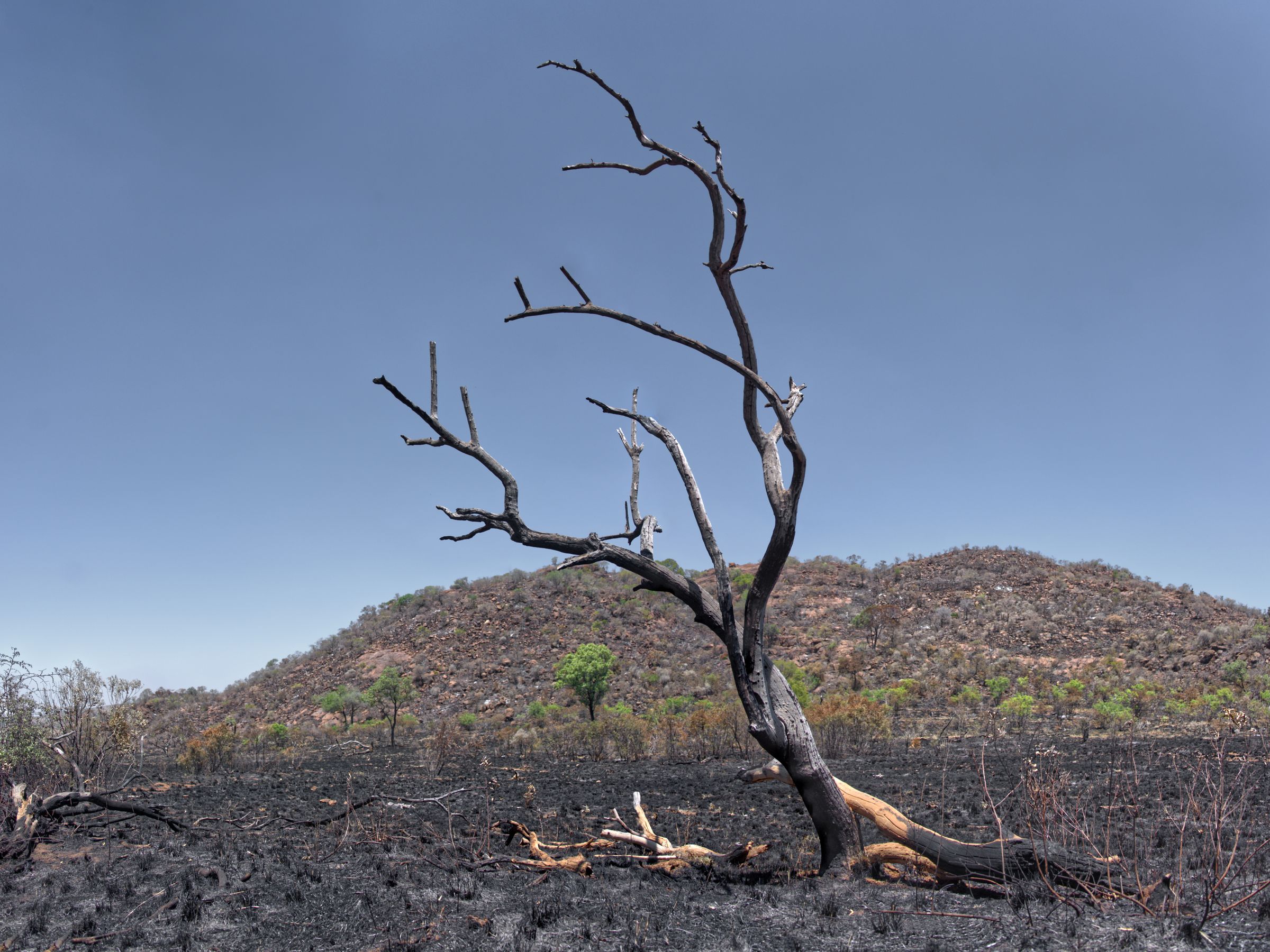 Überbleibsel des Feuers