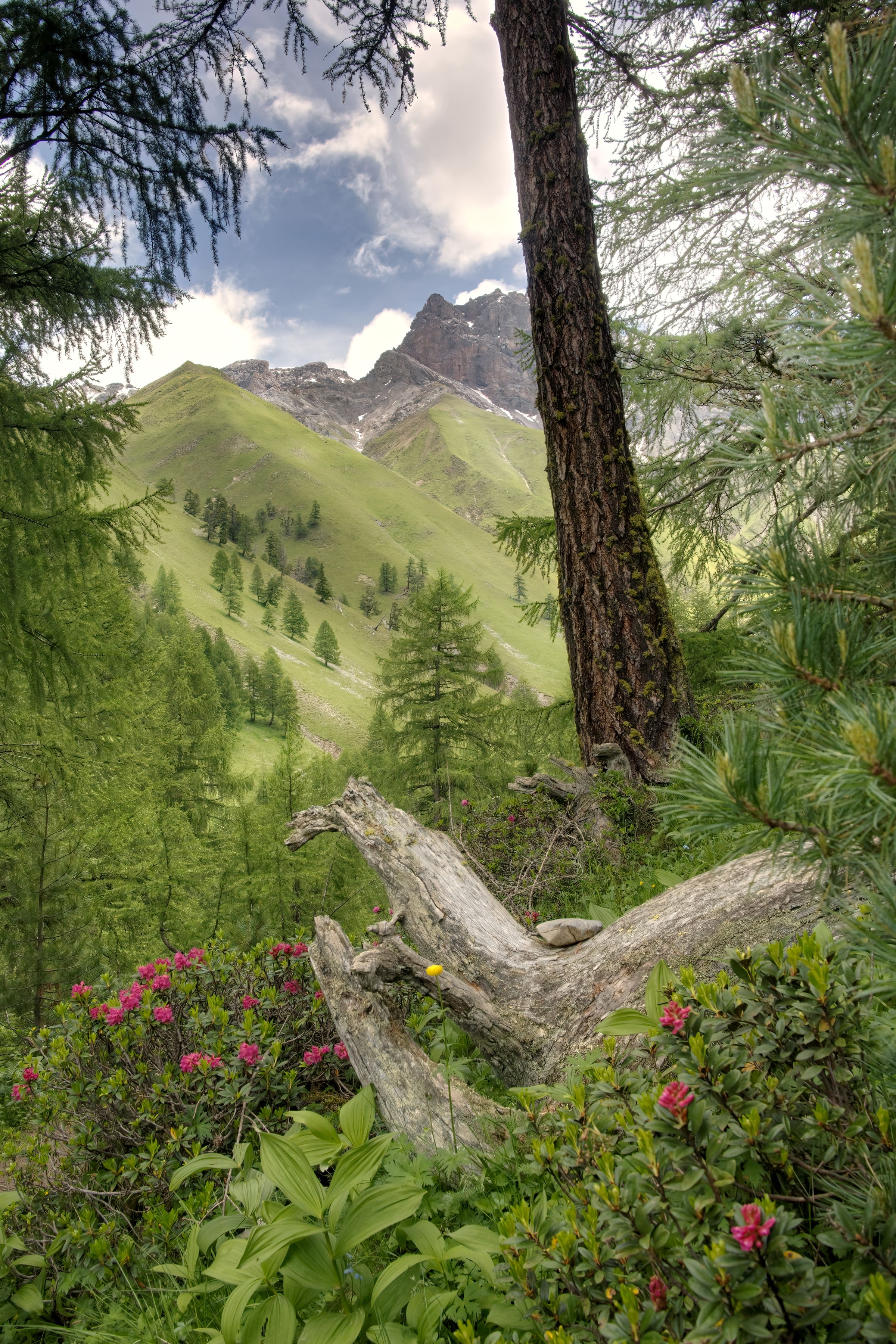 Berglandschaft