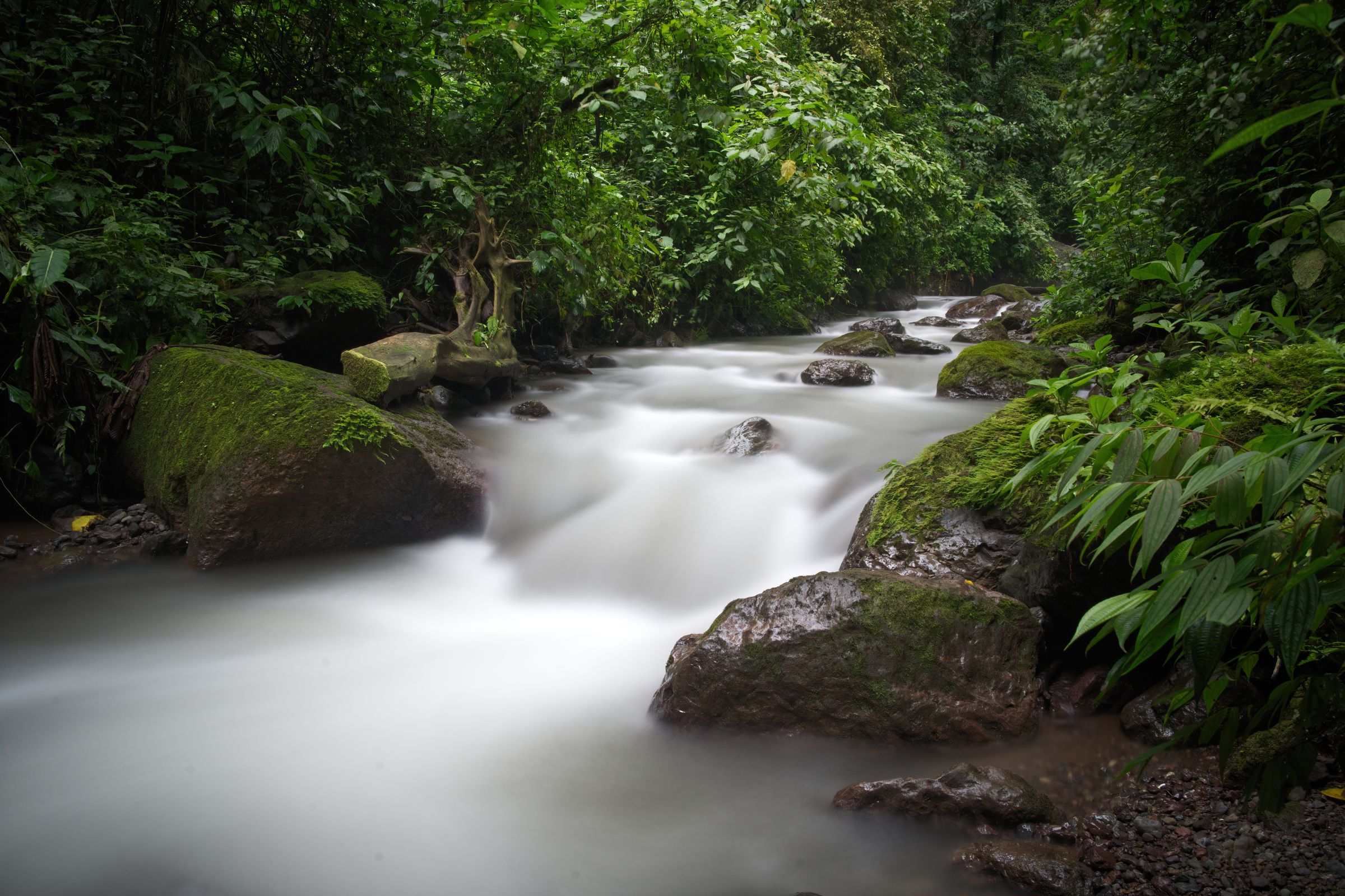 Wasserfall im Regenwald