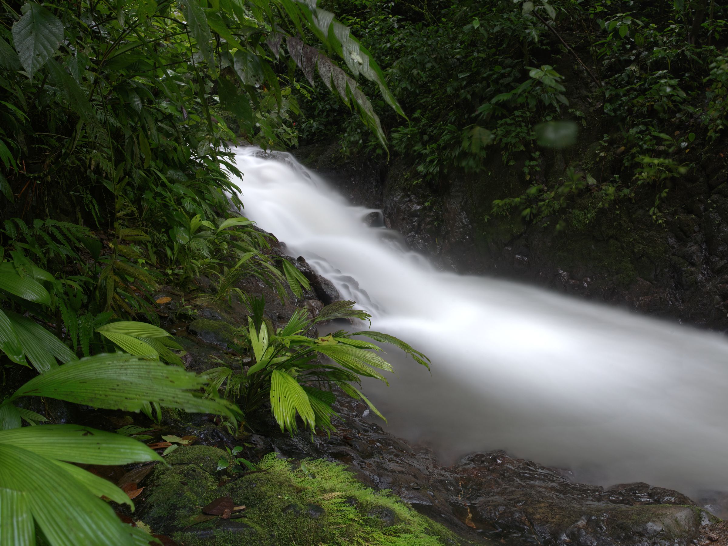 Wasserfall im Regenwald