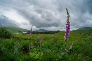die Highlands