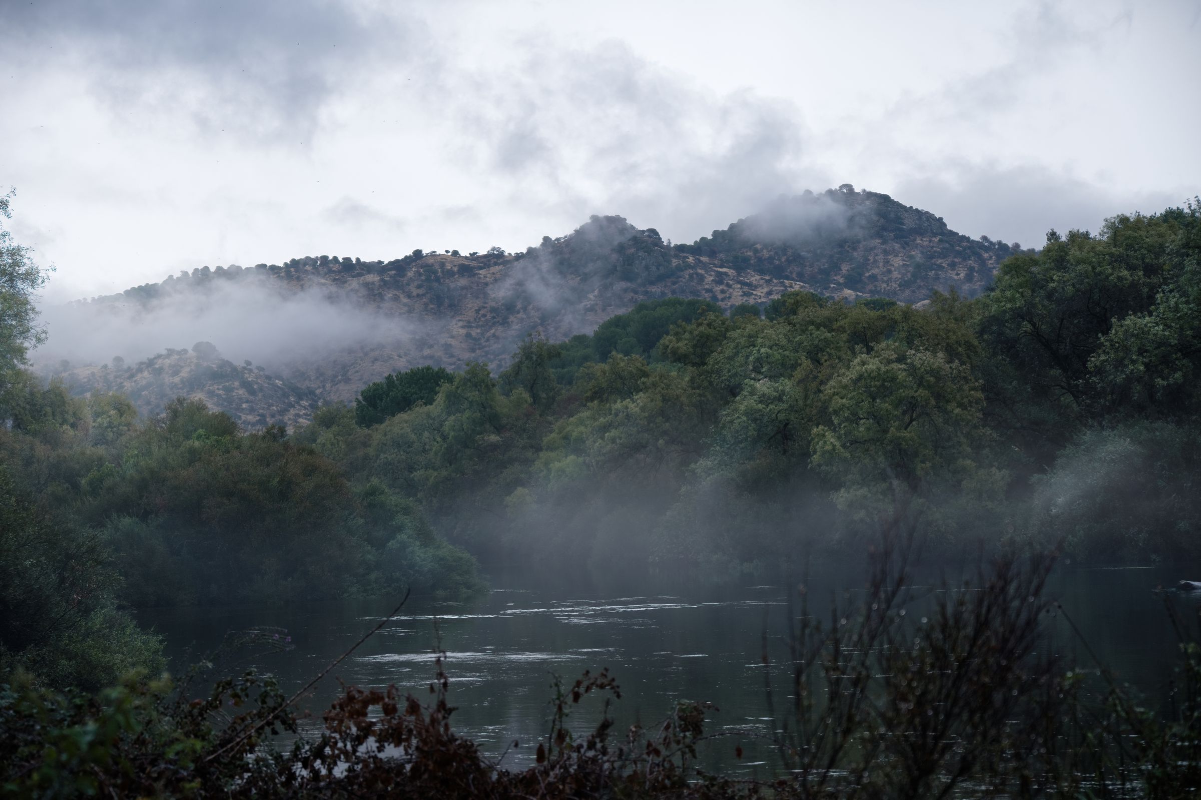 Nebel über dem Fluss
