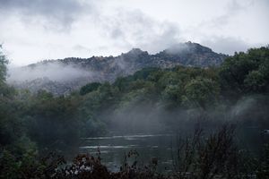 Nebel über dem Fluss