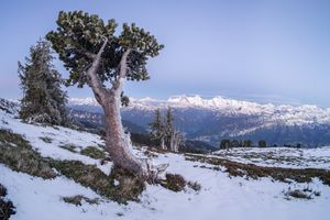Blaue Stunde in den Alpen