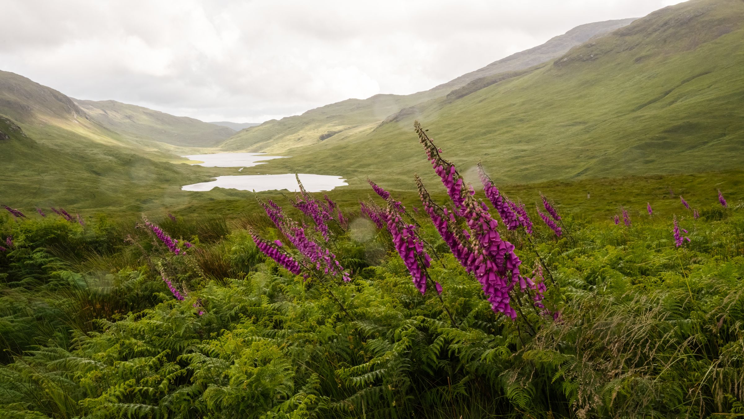 zwei Lochs