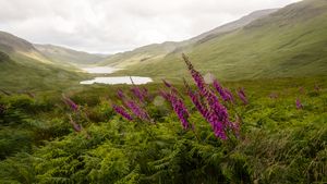 zwei Lochs