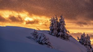 Brennender Himmel im Schneetreiben