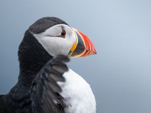 Dehnen vor dem Abflug