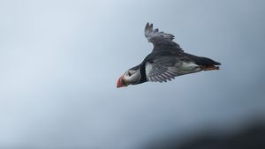 und Abflug...