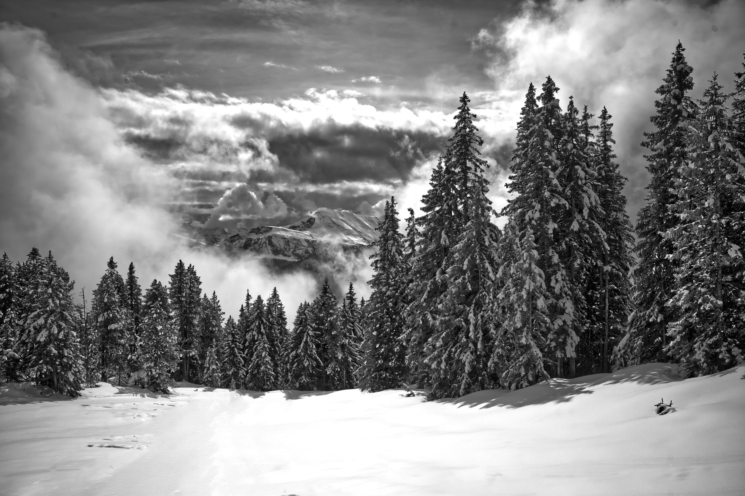 Dramatische Stimmung in Schwarz Weiss