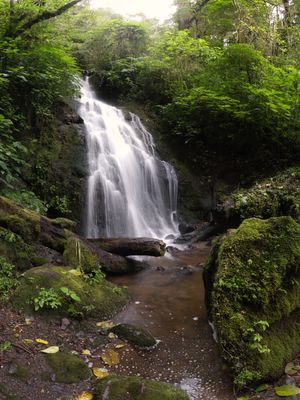 Wasserfall im Nebelwald