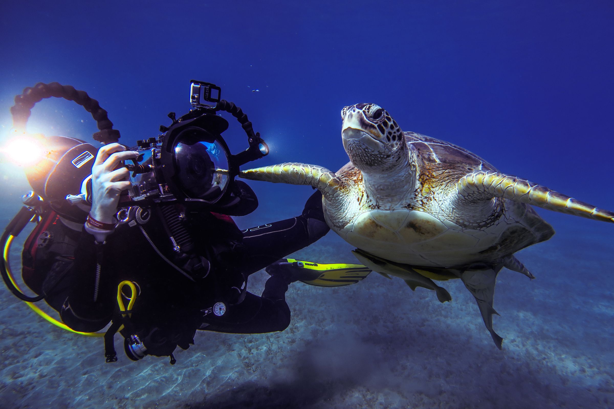 Unterwasserfotografie